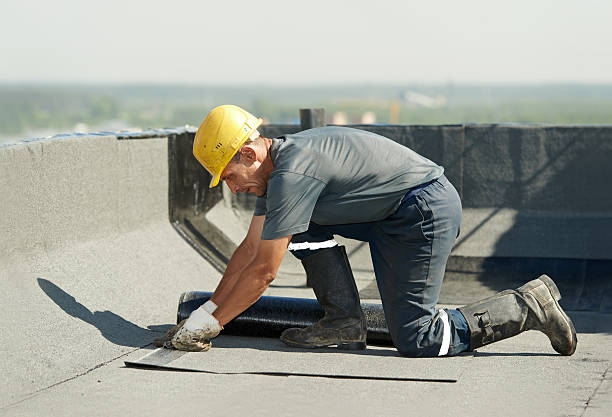 Best Specialty Insulation in Church Hill, TN